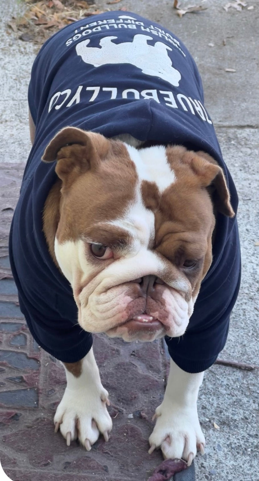 True Bully Co. Signature Navy English Bulldog Hoodie full-body fit